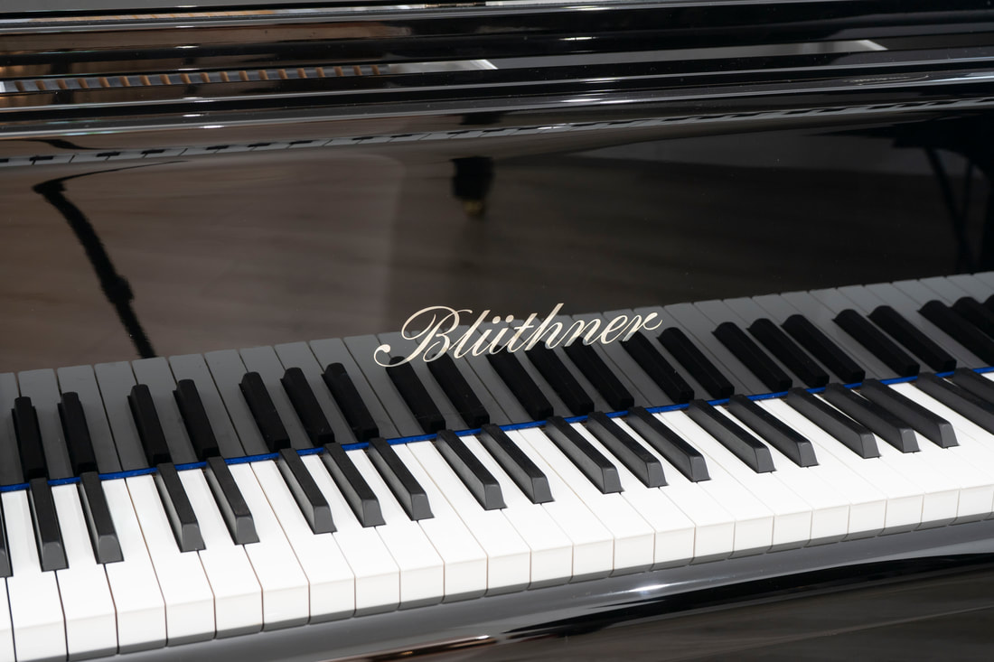 Blüthner - Modell 6-190