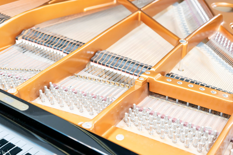 Bösendorfer – Modell 225 – aus Erstbesitz