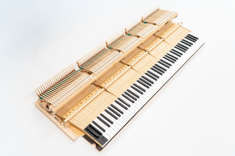 Bösendorfer – Modell 225 – aus Erstbesitz