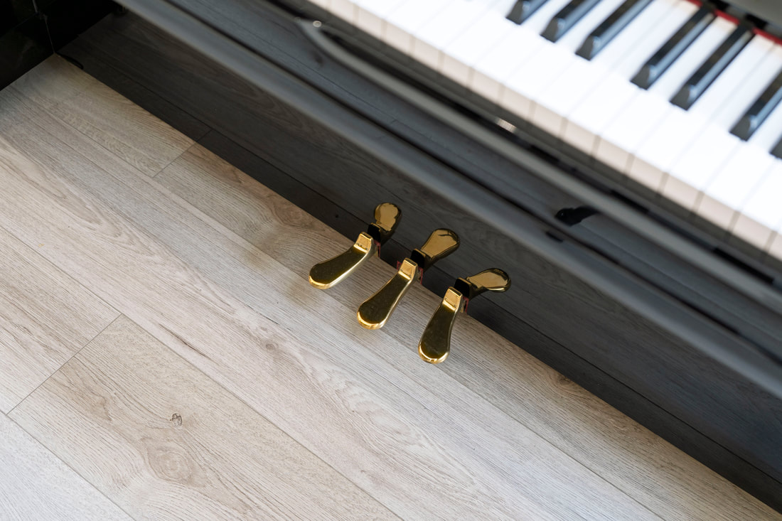 Yamaha YU10