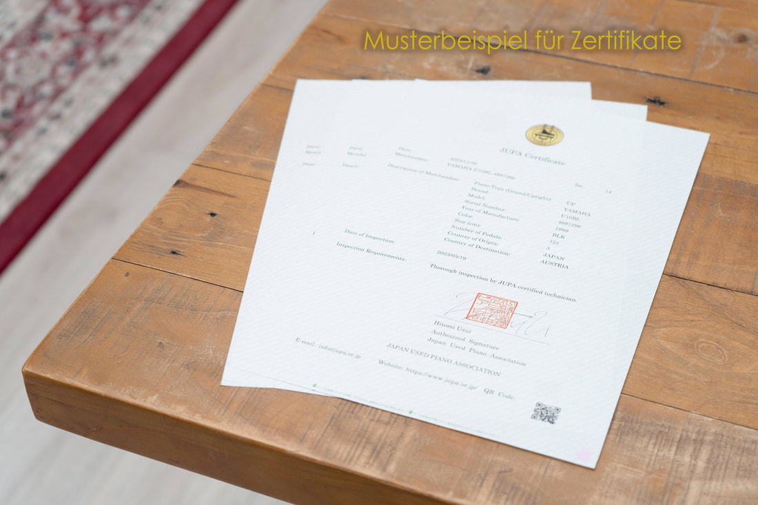 Muster eines JUPA-Zertifikats