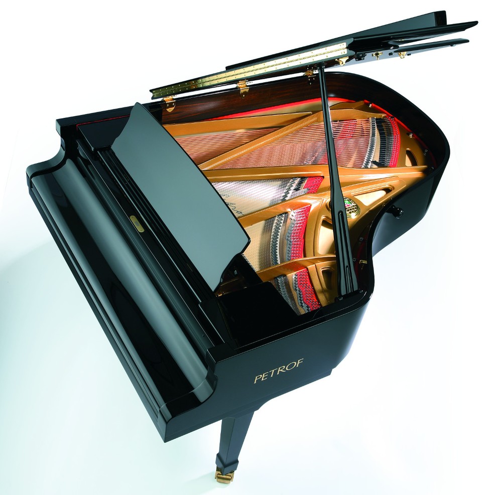 PETROF – P 194 Storm - Image 3