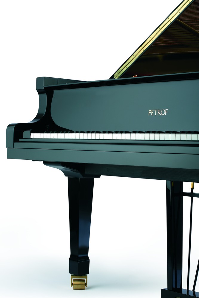 PETROF – P 210 Pasat - Image 3
