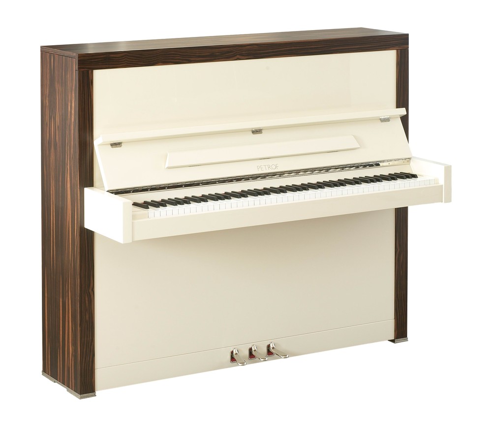 PETROF – P 123 Cabinet - Image 4