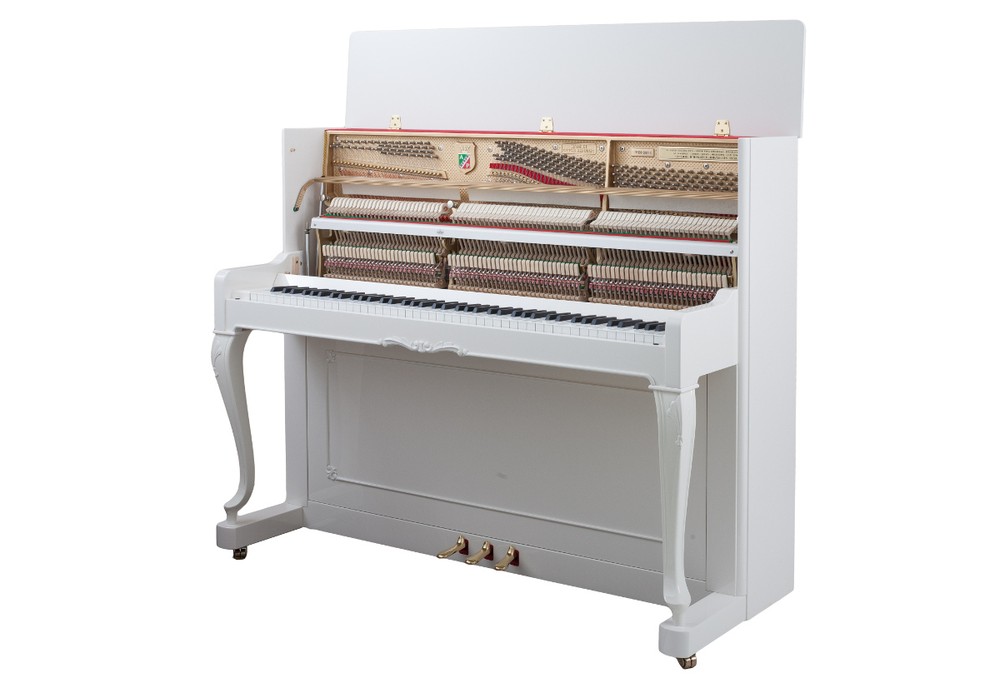 PETROF – P 118 C1 Chippendale - Image 2