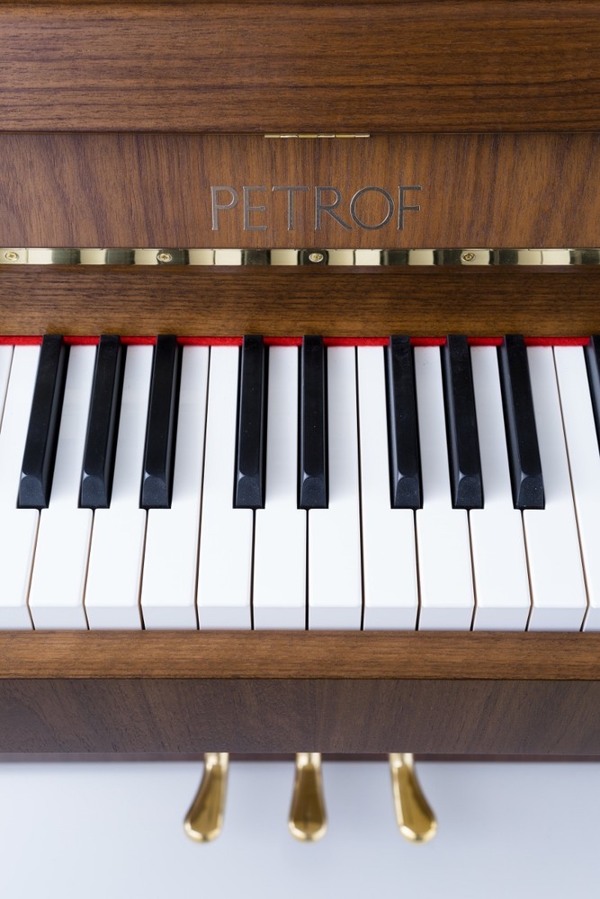 PETROF – P 118 P1 - Image 3