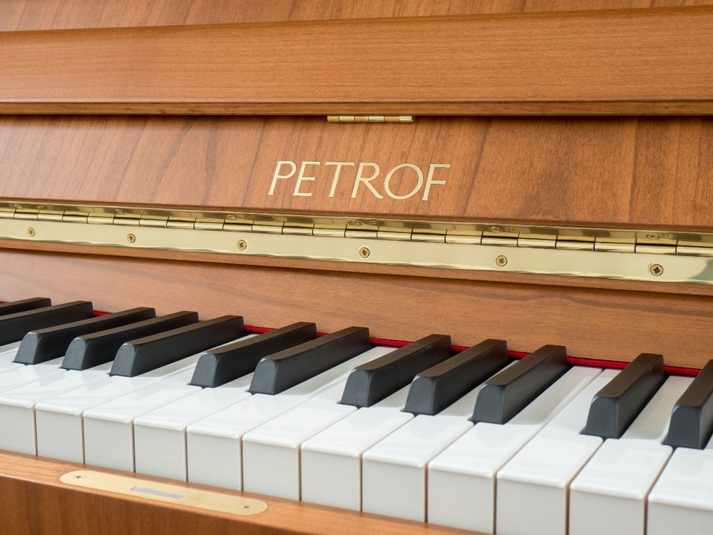 PETROF – P 125 F1 - Image 3