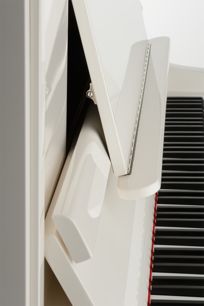 PETROF – P 135 K1 - Image 5