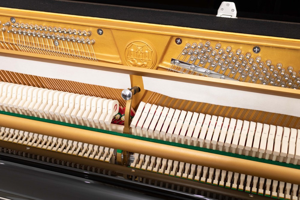 Ritmüller – RC-118 Premium - Image 5