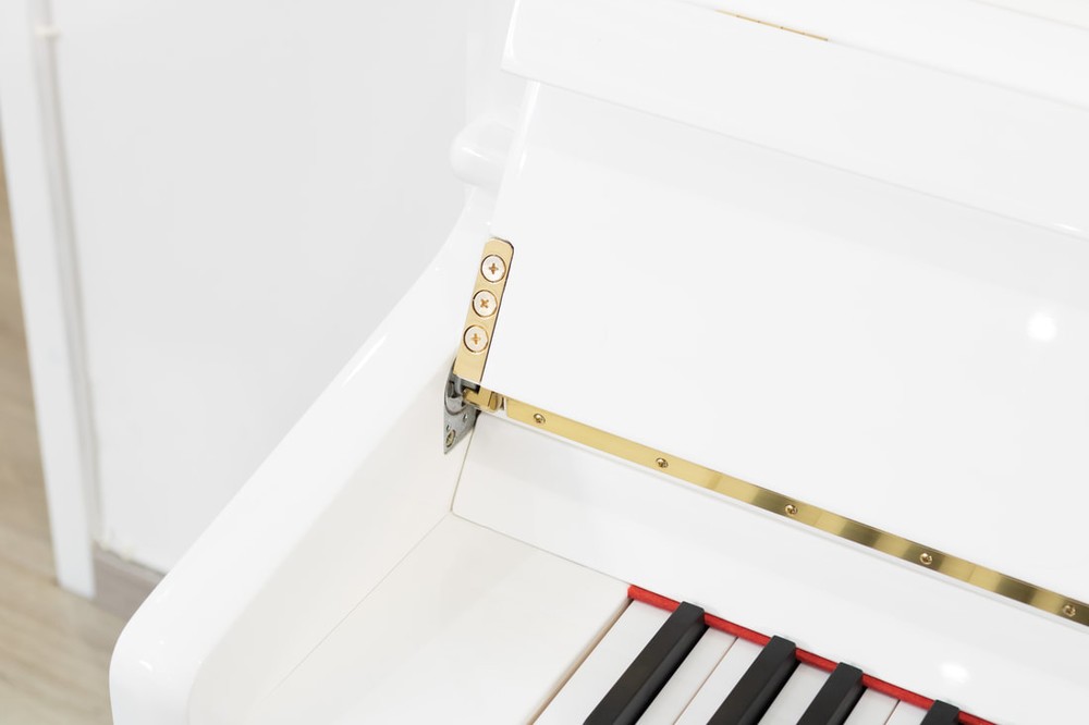 Ritmüller – RC-118 Premium - Image 12