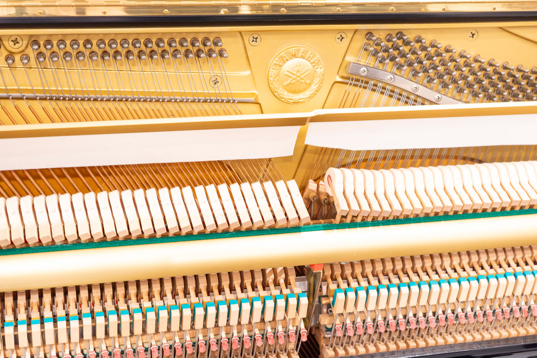 Yamaha UX1 – X-Strut – JUPA-Zertifikat - Image 3