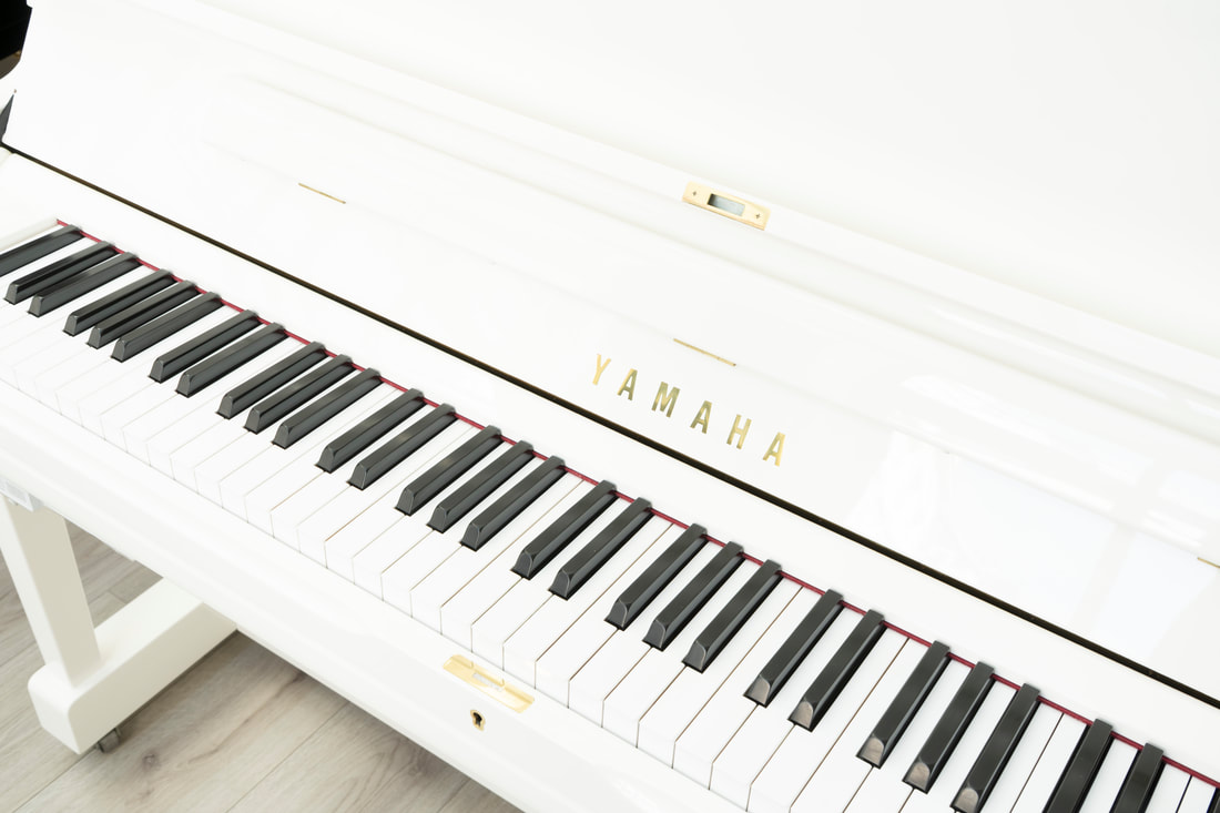 Yamaha YUS3SH – White Special Edition – 2017 - Image 2